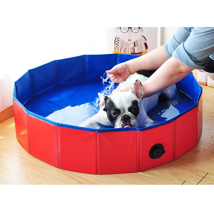 Piscina Pieghevole per Cani - Robusta Facile da Svuotare e Pulire interamente in PVC