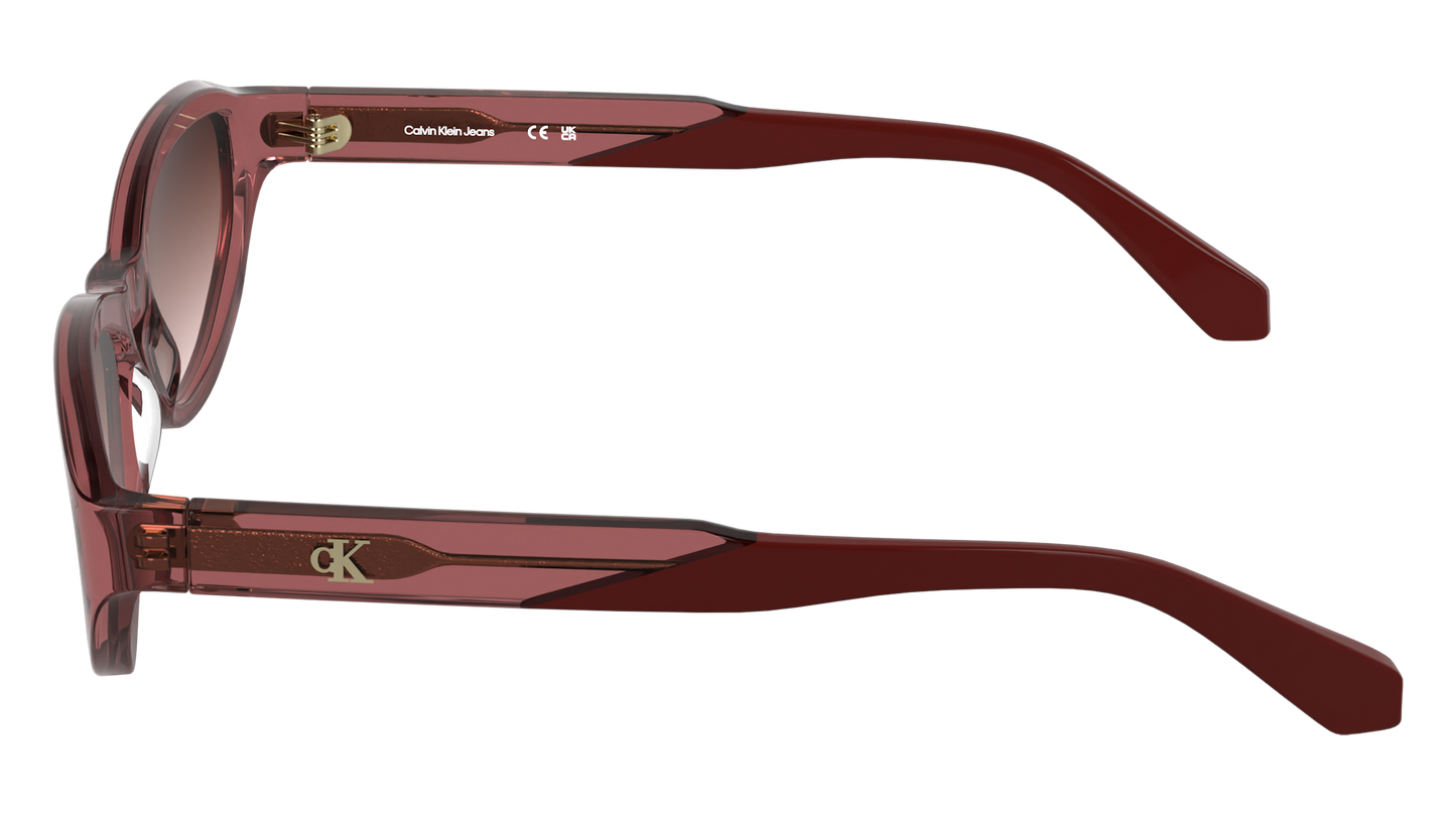 Calvin Klein Jeans CKJ25618S