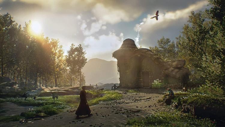 Hogwarts Legacy PS4 Video Game Harry Potter Playstation 4 Italian New Game