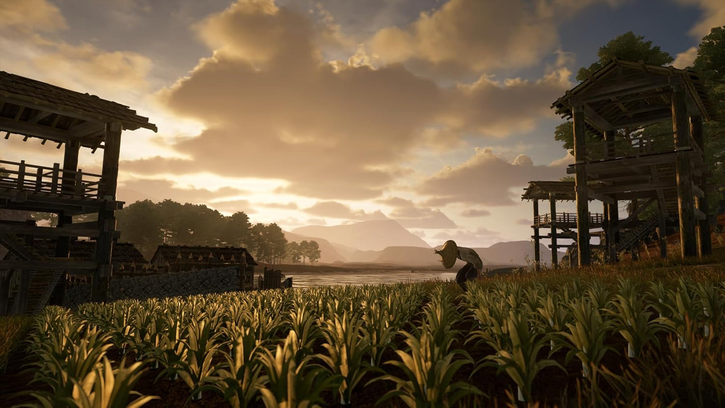 Sengoku Dynasty Ultimate Edition Ps5 Gioco Playstation 5 Multilingue Eu