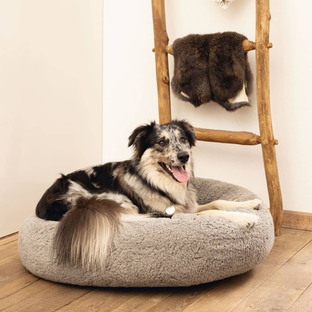 Letto per cani Beeztees Memory Foam "Jaxx" 60x25 cm Grigio