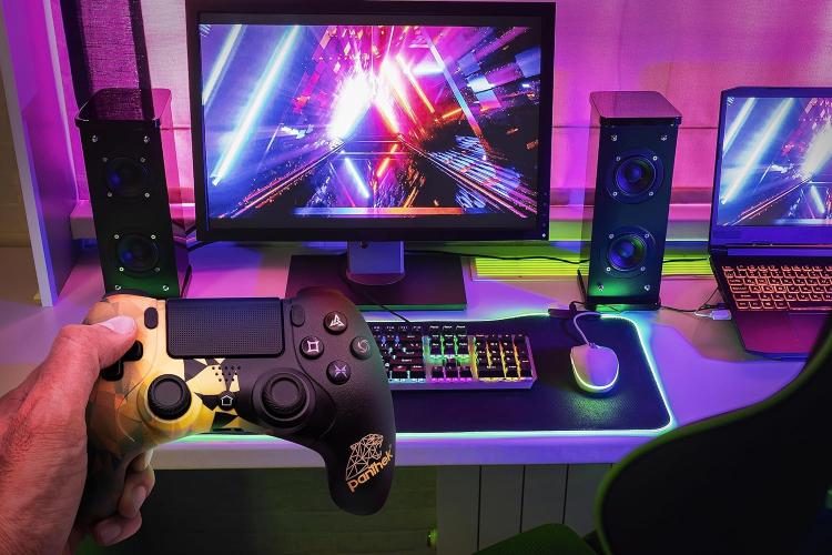 Panthek Controller Ps4 Ps3 Pc Windows Gamepad Wired Dual Vibration Gaming