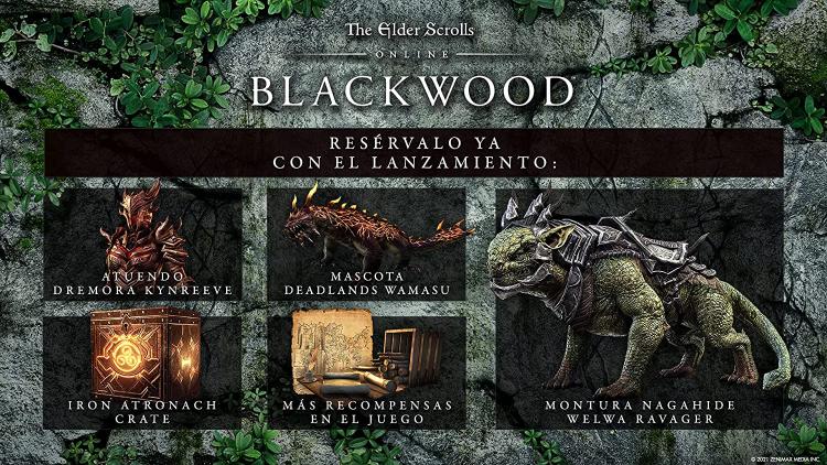 The Elder Scrolls Online Collection Blackwood PS4 PlayStation Game Italian