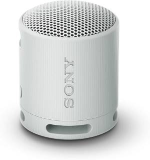 Sony SRS-XB100 Speaker Wireless Bluetooth Grigio
