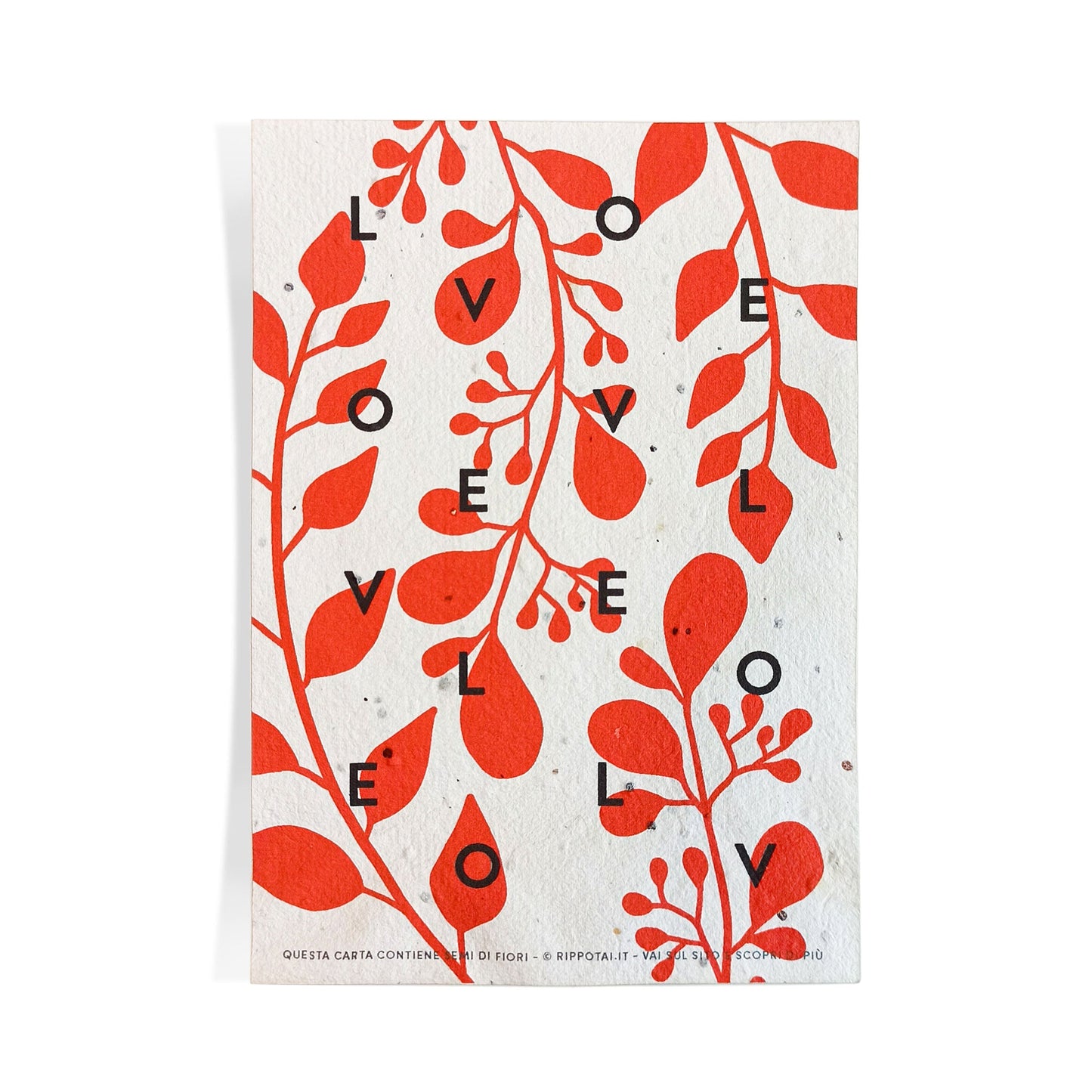 Biglietti di Auguri per San Valentino in Carta Piantabile Releaf – Kit da 8