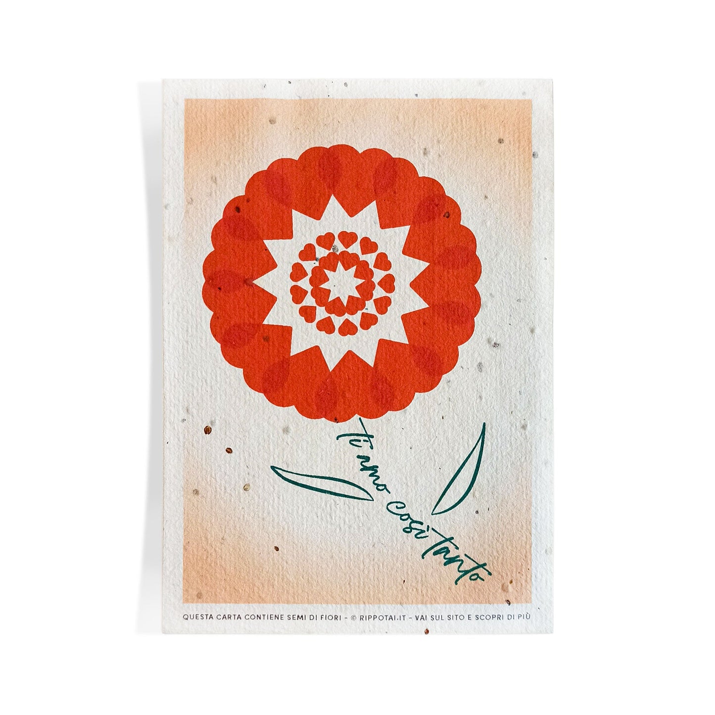 Biglietti di Auguri per San Valentino in Carta Piantabile Releaf – Kit da 8