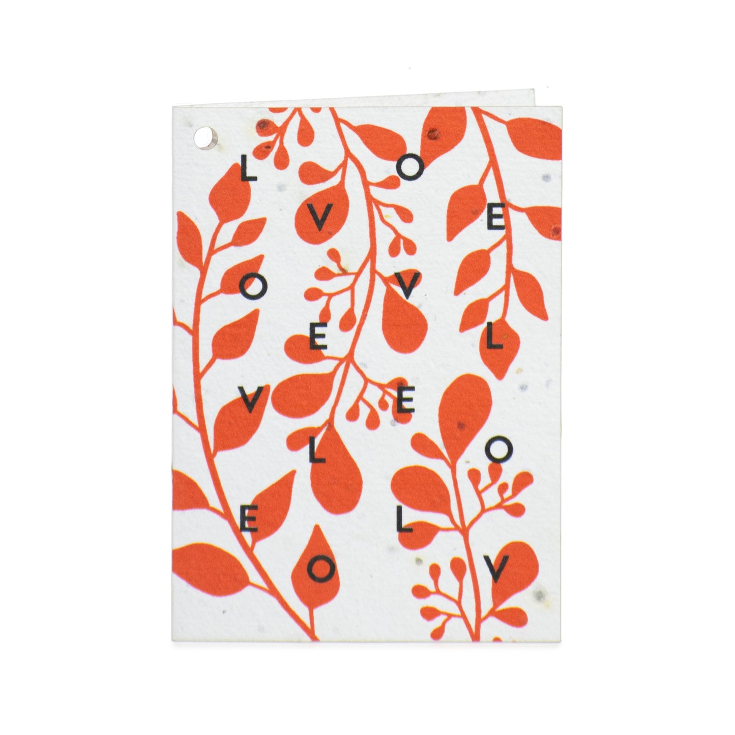 Biglietti di Auguri per San Valentino in Carta Piantabile Releaf – Kit da 8