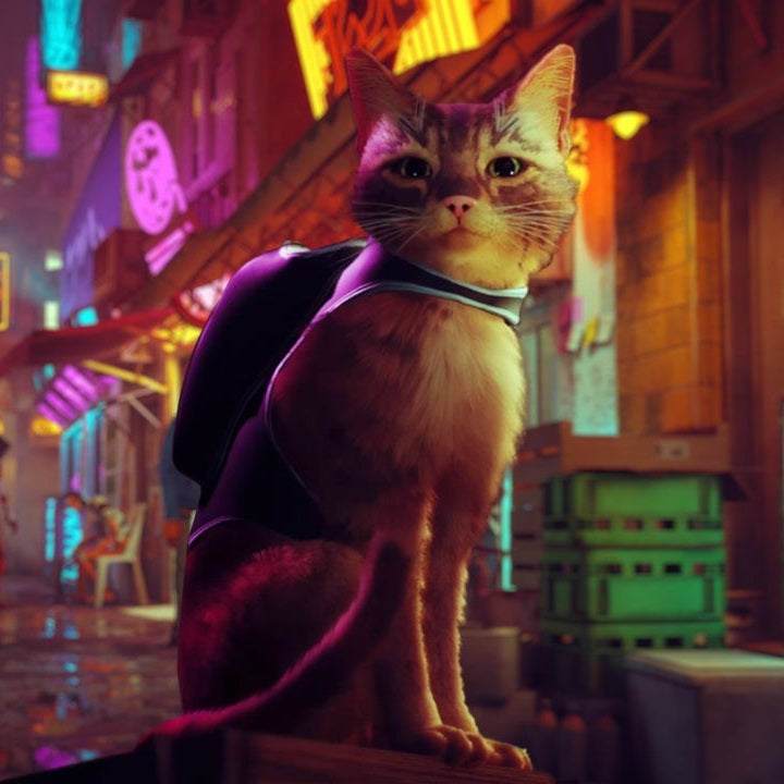 Stray PS4 Video Game New Italian Playstation 4 Game Sealed Cat Game