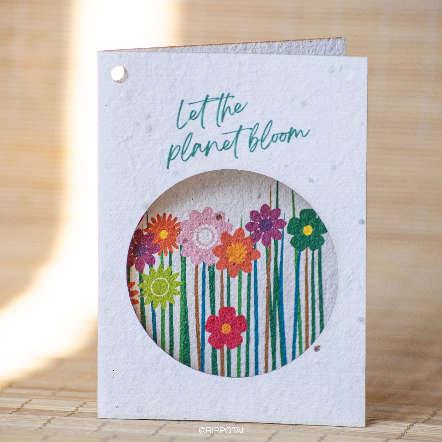 Biglietti di Auguri in Carta Piantabile a Tema Primavera – Kit da 8