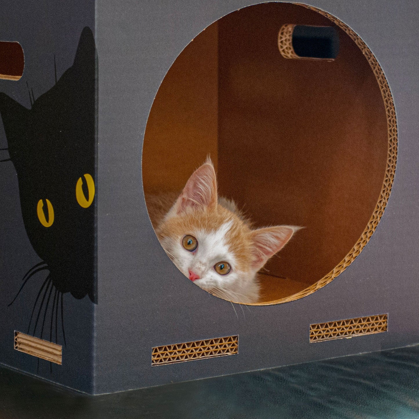 Cuccia per gatti eco-sostenibile BlackCatpotai