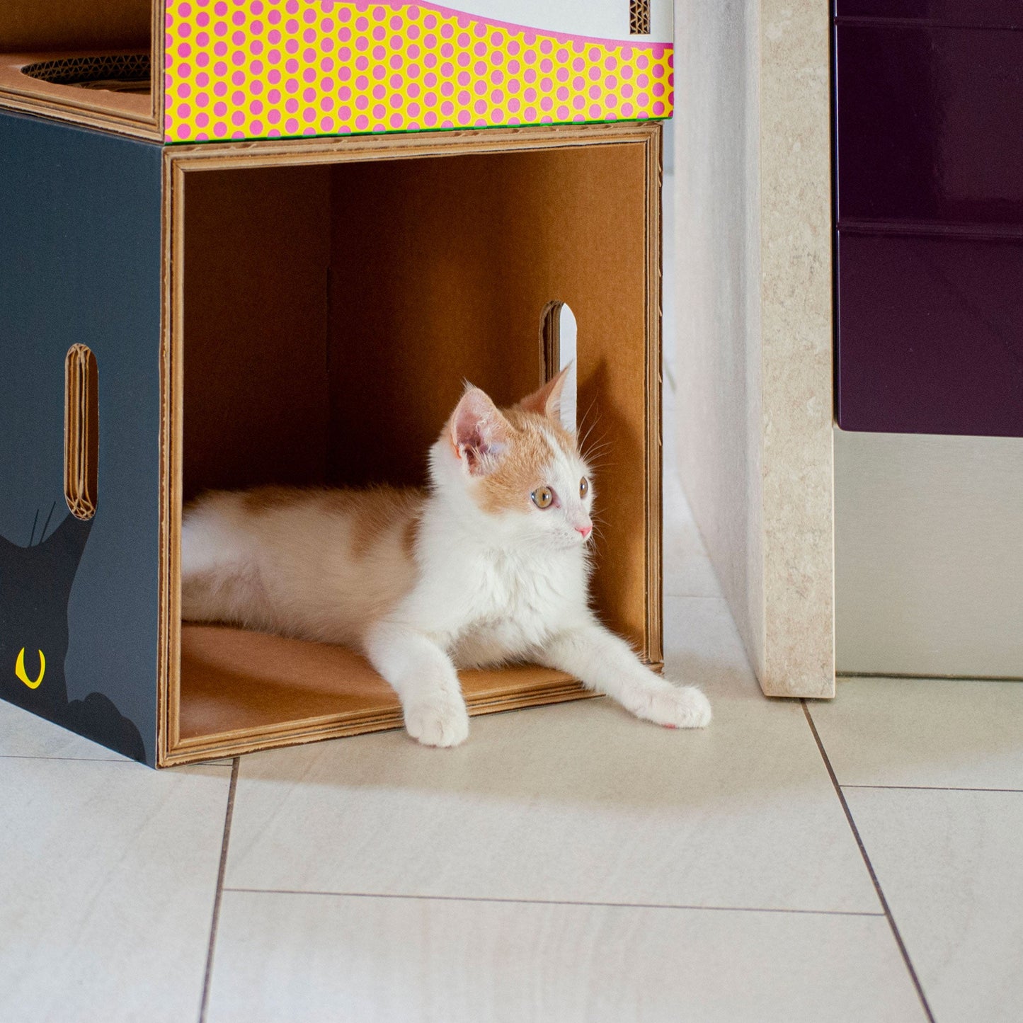 Cuccia per gatti eco-sostenibile BlackCatpotai