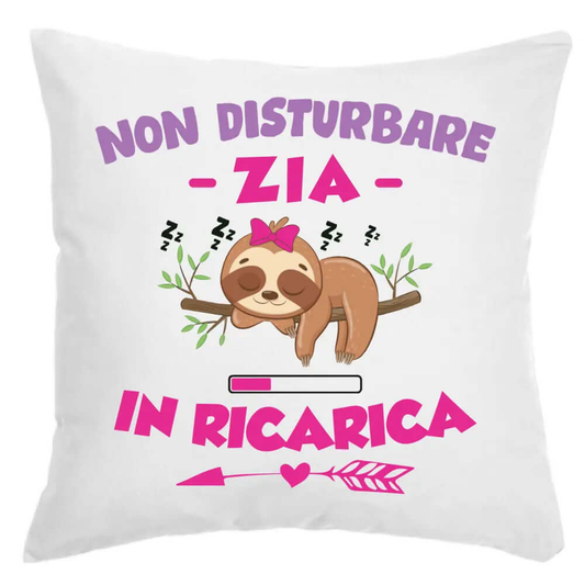 Cuscino Non Disturbare Zia In Ricarica