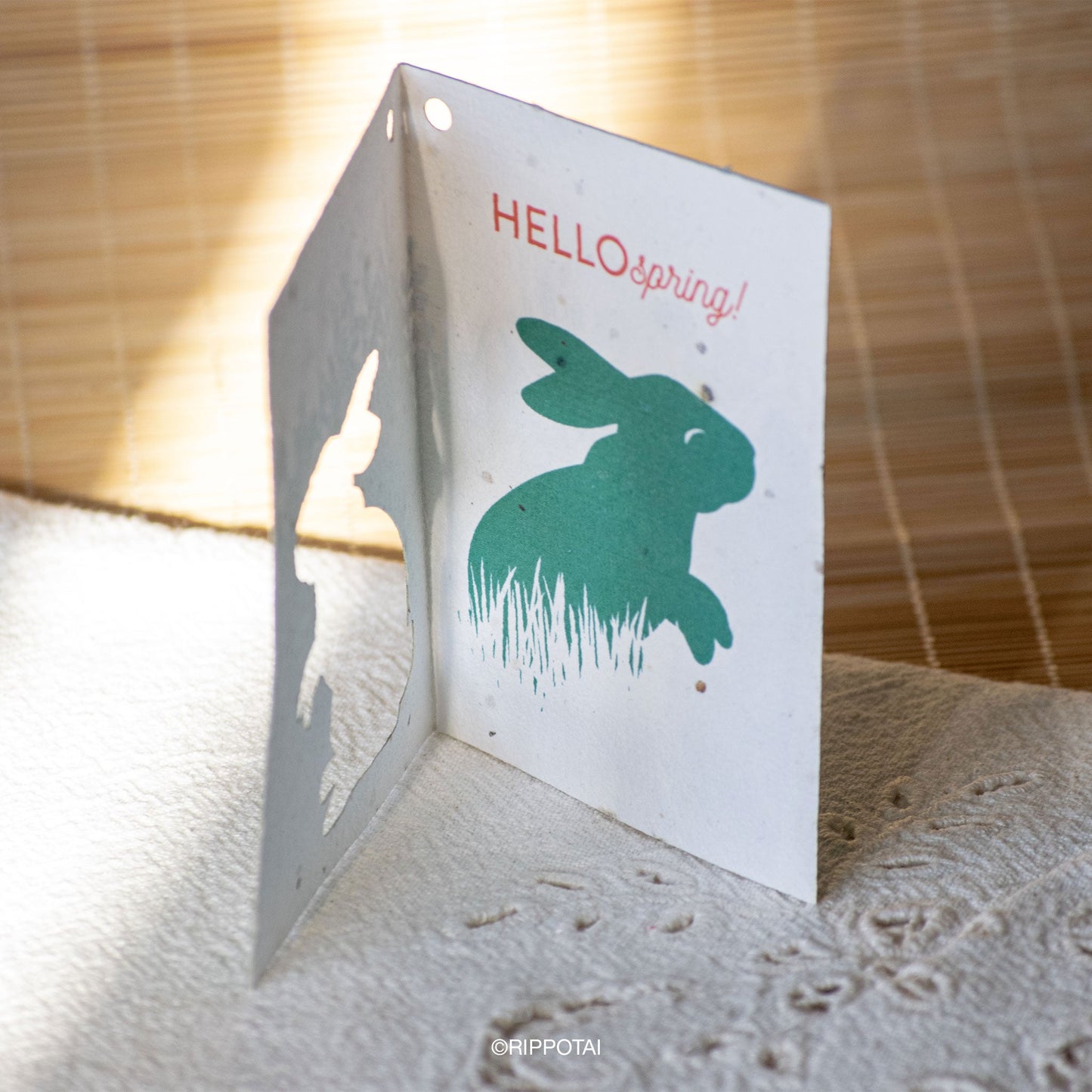 Biglietti di Auguri per Pasqua in Carta Piantabile Releaf – Kit da 8