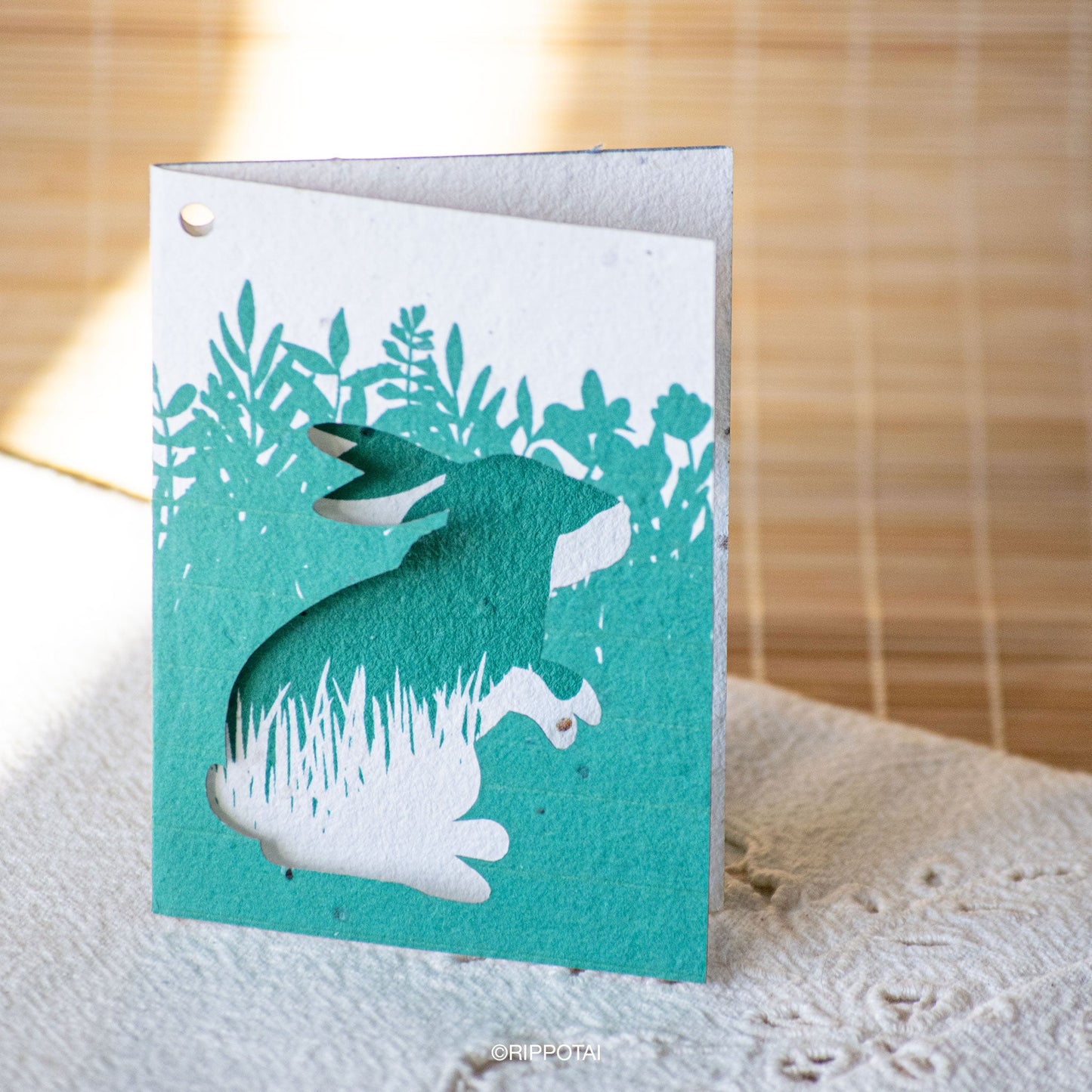 Biglietti di Auguri per Pasqua in Carta Piantabile Releaf – Kit da 8