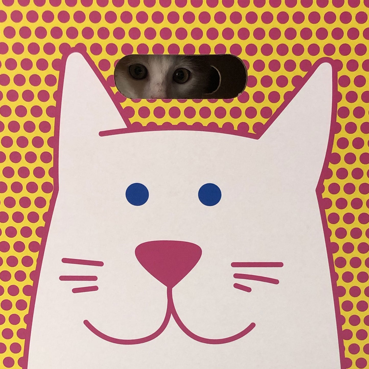 Cuccia per gatti eco-sostenibile Catpotai