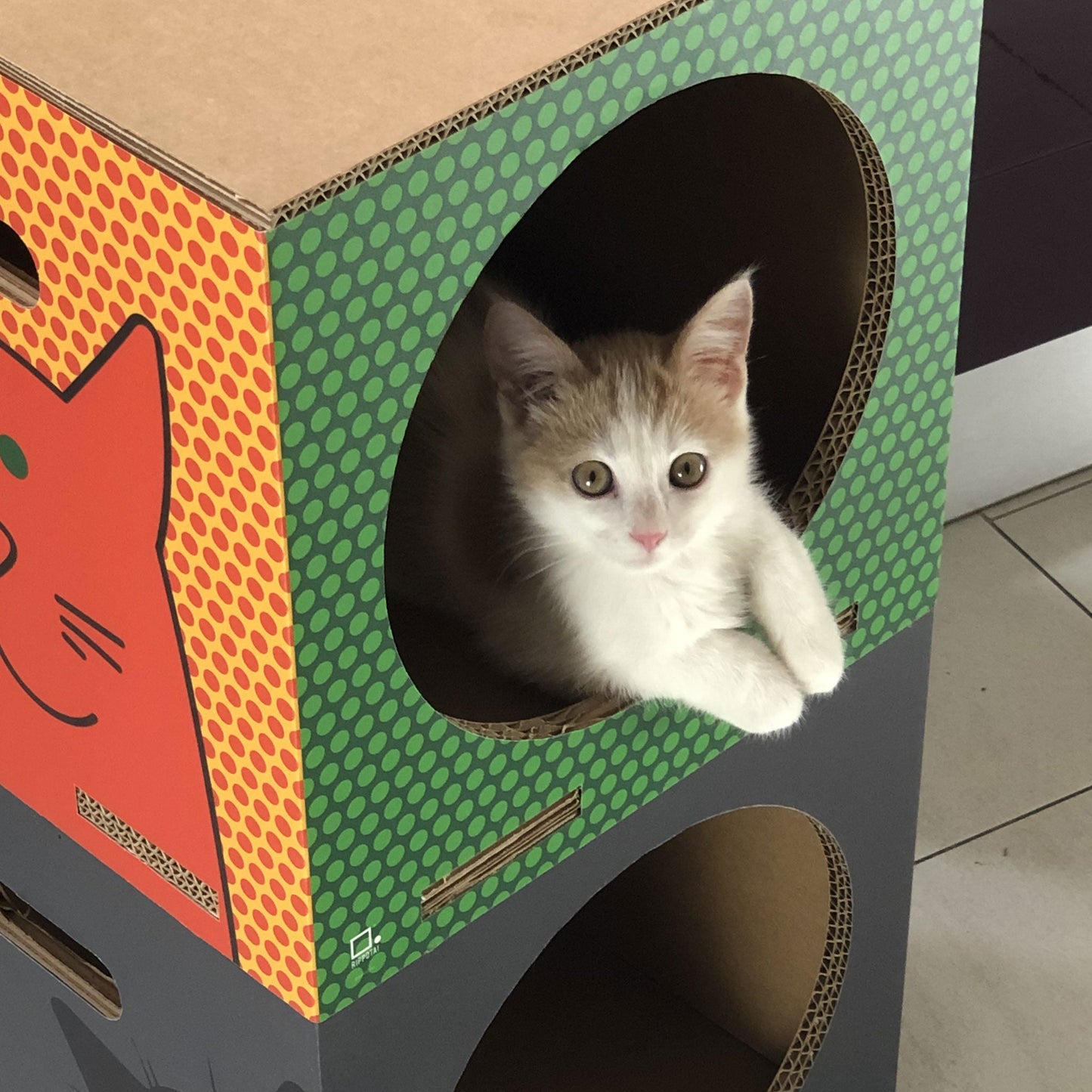 Cuccia per gatti eco-sostenibile Catpotai