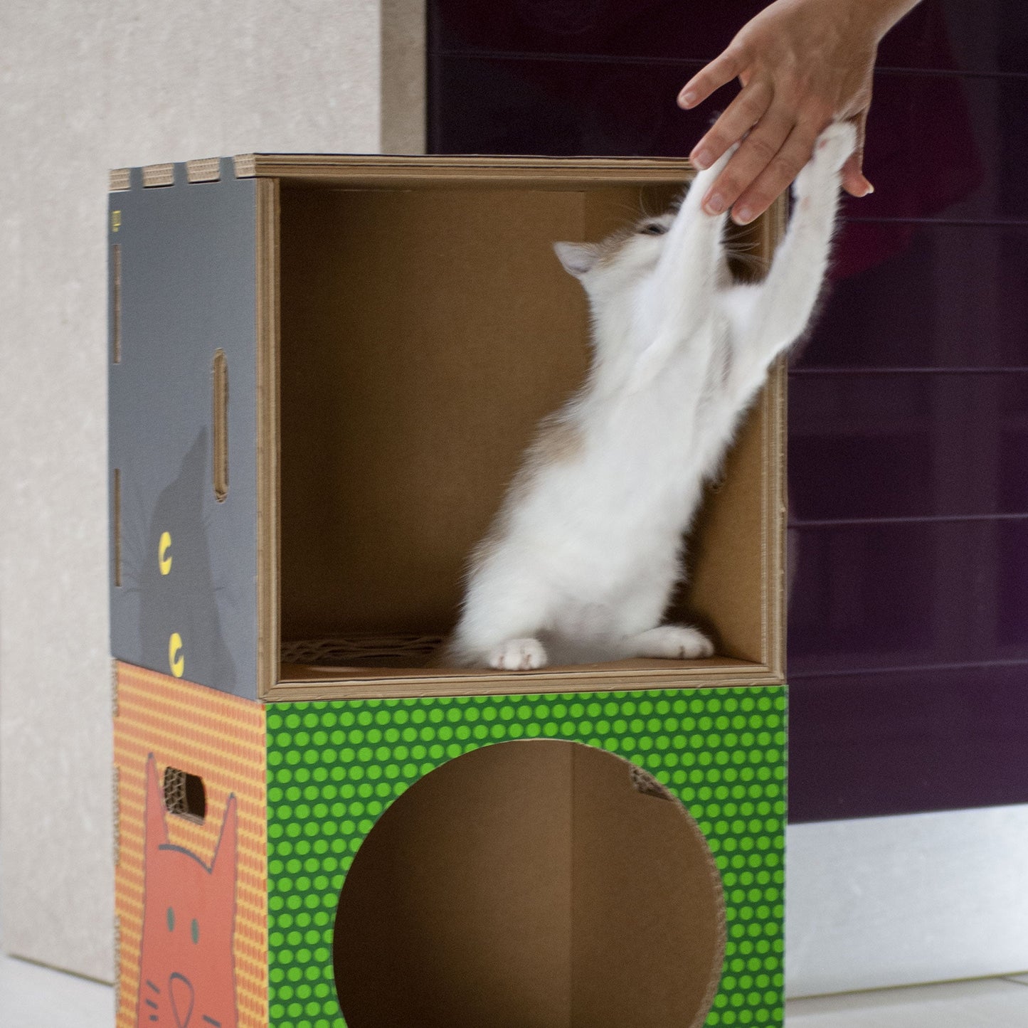 Cuccia per gatti eco-sostenibile BlackCatpotai