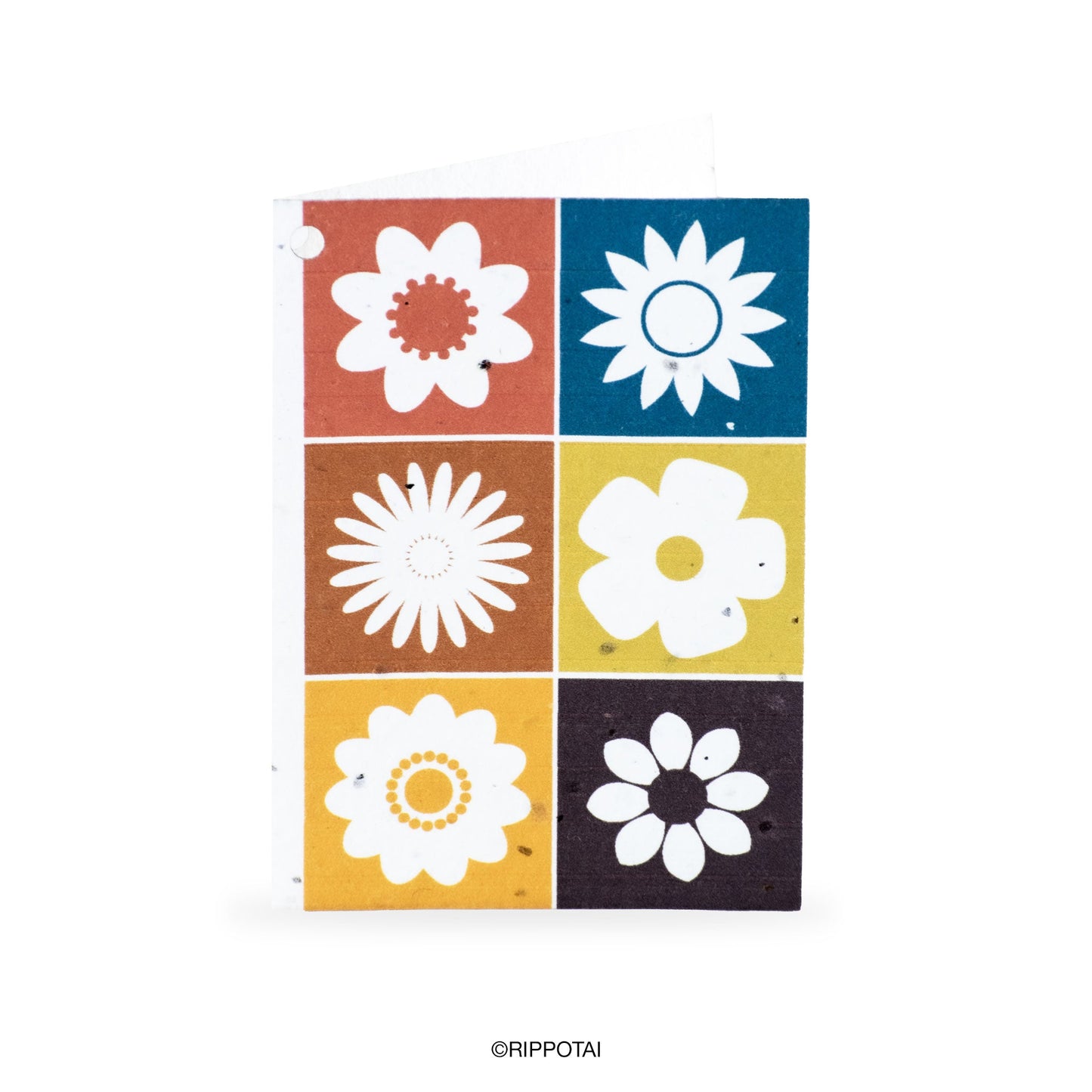 Biglietti di Auguri per Pasqua in Carta Piantabile Releaf – Kit da 8