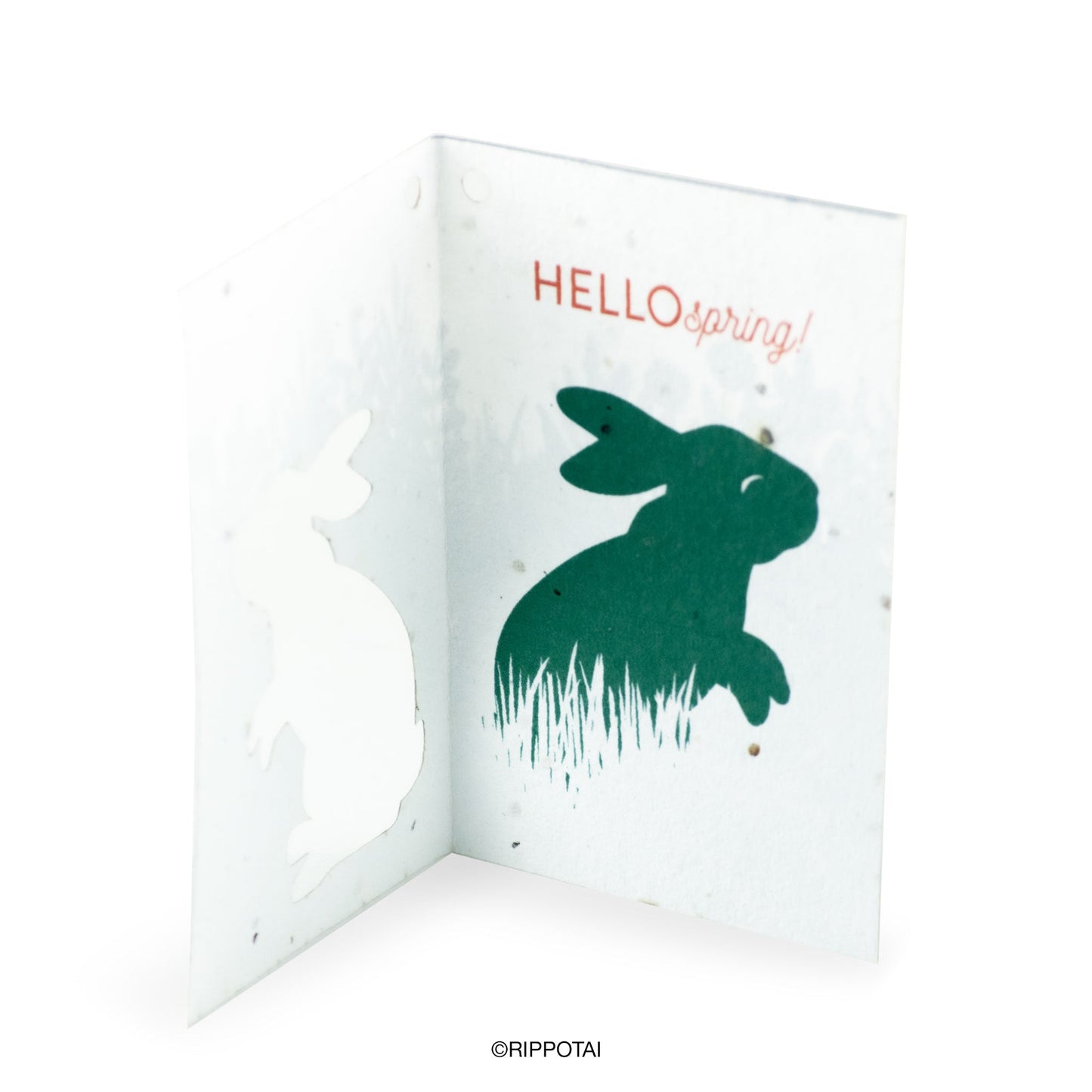 Biglietti di Auguri per Pasqua in Carta Piantabile Releaf – Kit da 8