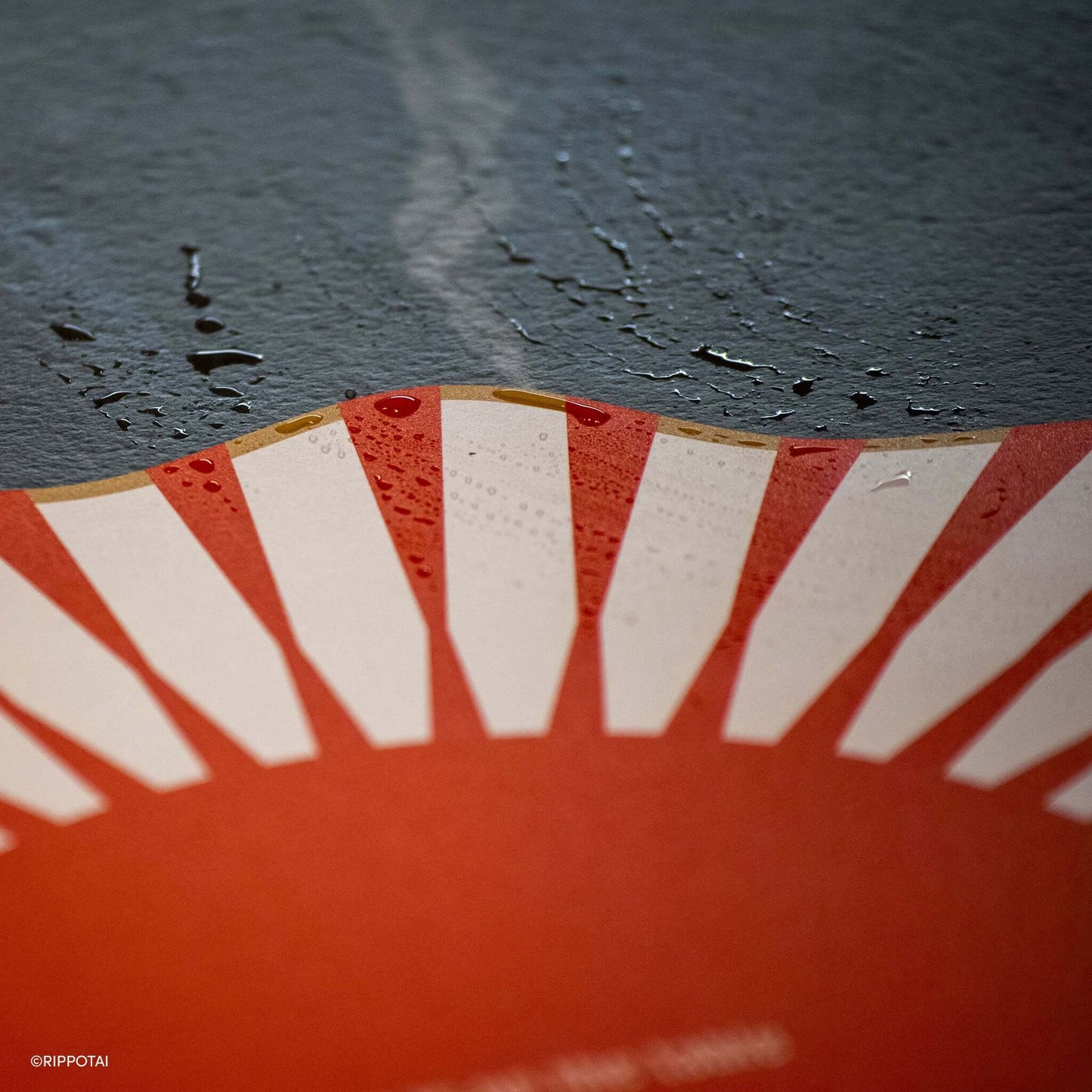 Sottopiatti Moderni e Sottobicchieri Coordinati 3pz – Collezione "Love is on the Table"