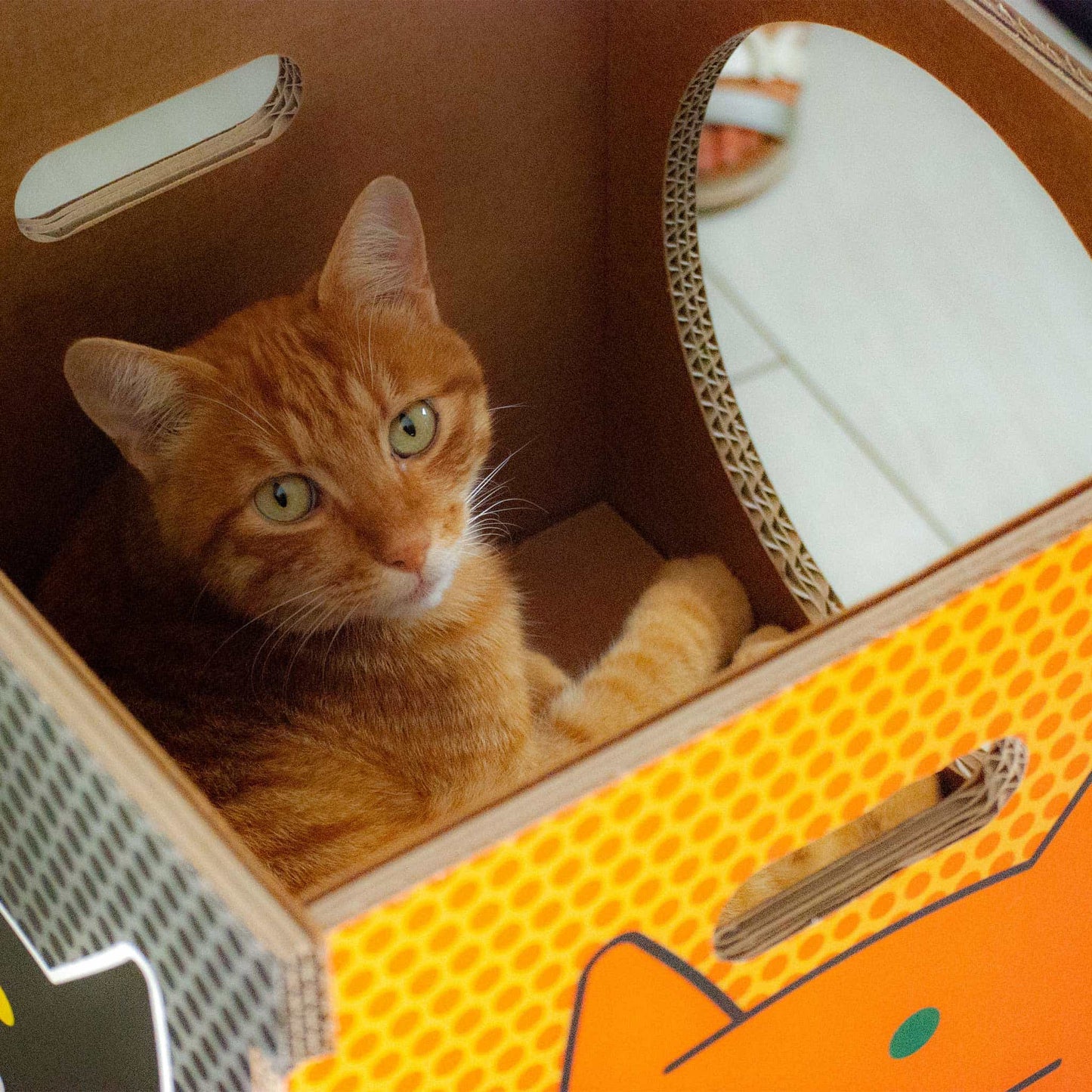 Cuccia per gatti eco-sostenibile Catpotai