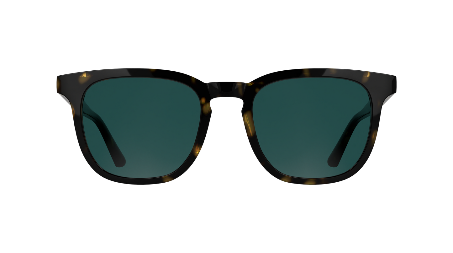 Calvin Klein CK25536S