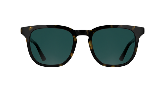 Calvin Klein CK25536S