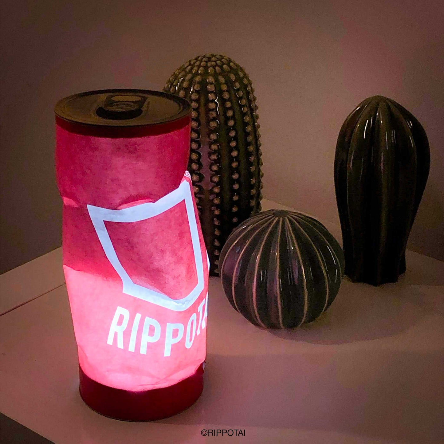 Lampada LED ricaricabile ecologica – Kami Crushed can